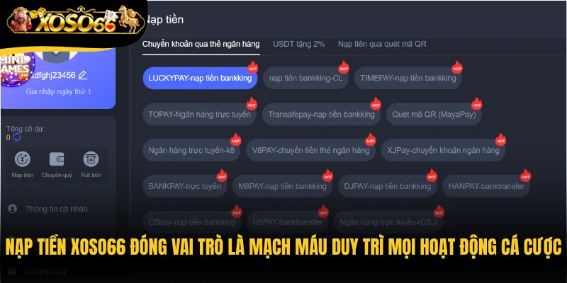 Nạp tiền Xoso66 đóng vai trò là mạch máu duy trì mọi hoạt động cá cược